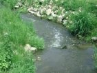 fish trap