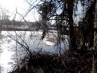 river
