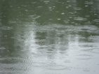 rain