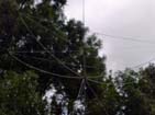 2el Moxon Yagi