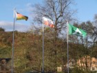 flags