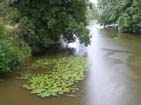  Lovely island but too much rain.