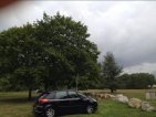 Pic received live from Romain on day of activity