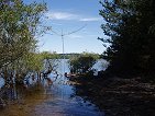 antenna