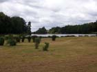 Cheix Island.