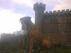 Dawg Xray and Petit Lac mini castle in background