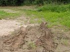 Tyre tracks