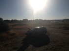 Bamby antenna