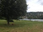 Pic received live from the team on day of activity