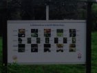 Picture sent live while activity in progress