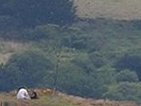 from afar