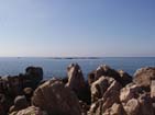 View.