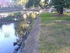 bridge