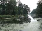 River surrounding W�gorz Island.