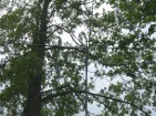 antenna
