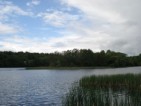 view of island