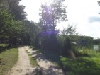 in view