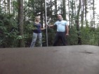 ant