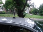 antenna