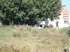 view from river-bank