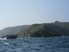 sark