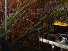 Bottom of 8mt fibermast anchored to fallen tree branches. Friendly thought to the local beavers...