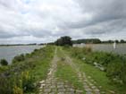 Narrow road