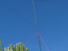 1DX/TA003 Bamby II antenna.