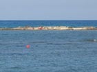 Neighbour island.