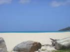 Scenic beach.
