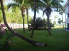 Resort garden.