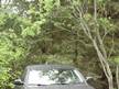 Whipe antenne used
