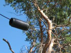 coax dipole.