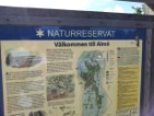 info board