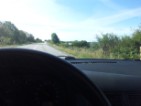 first view