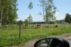 horse show