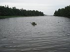 sea
