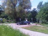 Car and mobile antenna