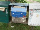 Local PO box.