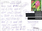 242/47DX162 direct postcard back.