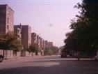  Skhoder downtown.