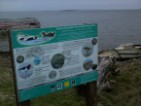 wildlife info board