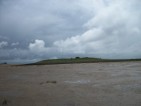 sheep isl