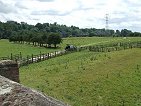 view to tx site