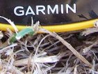 gps