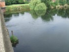 river trent