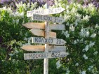 signs