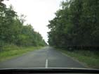 This is what the road network looks like on the Kuronian Spit, all narrow roads� high speeds, dangerous!