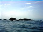 Finding a safe berth.