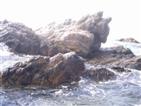 Rocks.